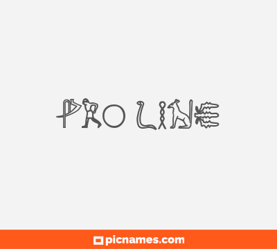 Pro Line